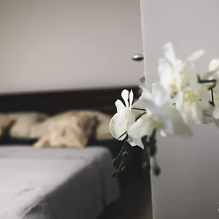 Annabella Apartmanhaz Apartment *